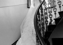 Intimate Wedding 102