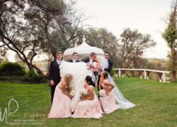 Intimate Wedding 123