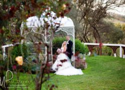 Intimate Wedding 127