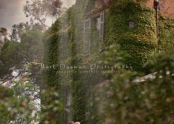 Intimate Wedding 128