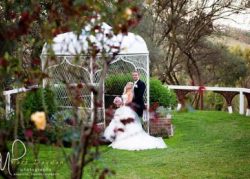 Intimate Wedding 136