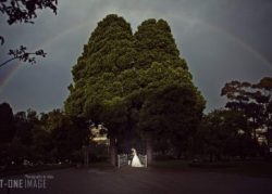 Intimate Wedding 137