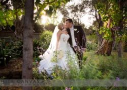Intimate Wedding 59