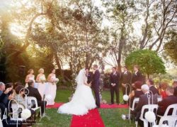 garden-wedding-7