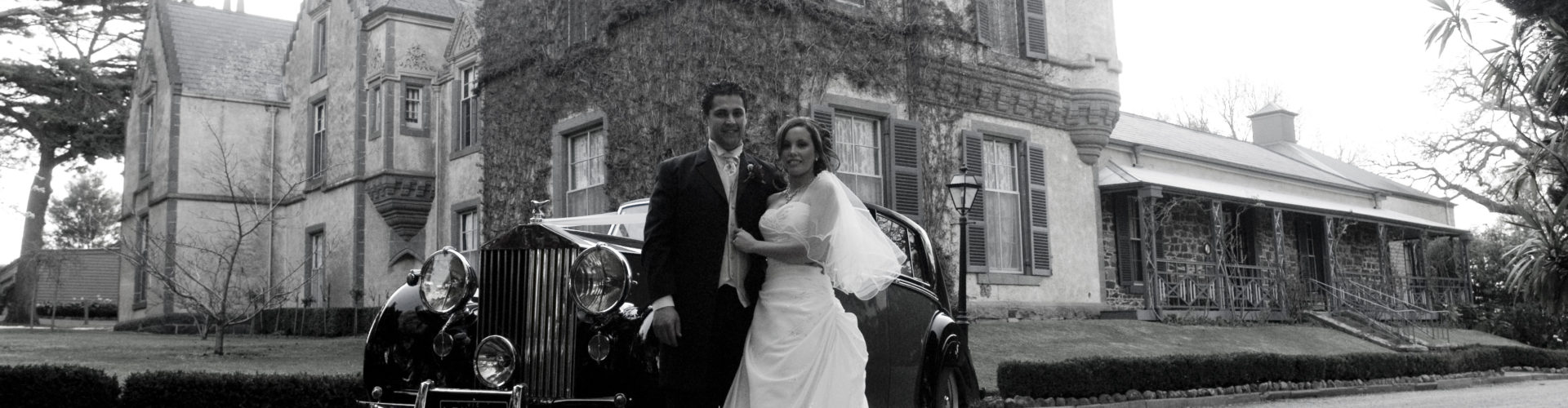 winter wedding banner new