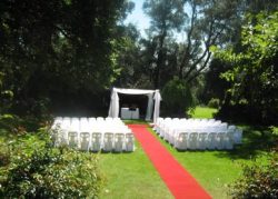 garden-wedding-19